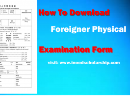 Foreigner Physical-Fitness Examination Form pdf download for China