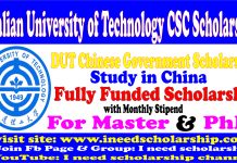 Dalian University of Technology CSC Scholarship-DUT Scholarship 2021