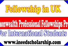 Commonwealth Professional Fellowships Program in UK