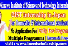 OIST Internship in Japan