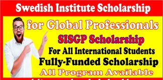 Swedish Institute Scholarship SI Scholarship