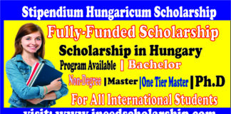 Hungary Stipendium Scholarship