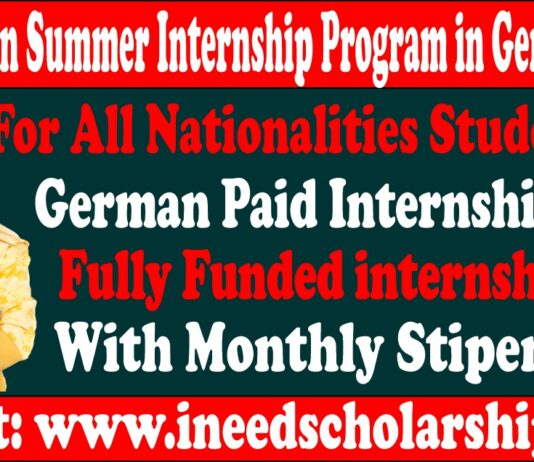 Berlin Summer Internship Program
