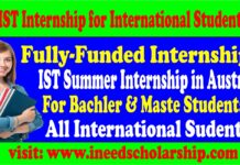 IST Summer Internship
