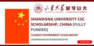 Shandong University CSC Scholarship